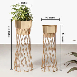 Zen Botanics Planters Set of 2 - Gold