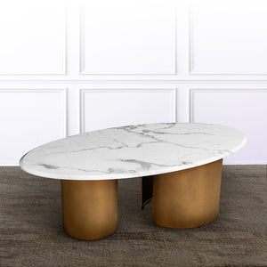 Elysian Essence Centre Table for Living Room (Stainless Steel)