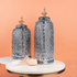 The Classic Parisian Ceramic Decorative Vase - Set of 2